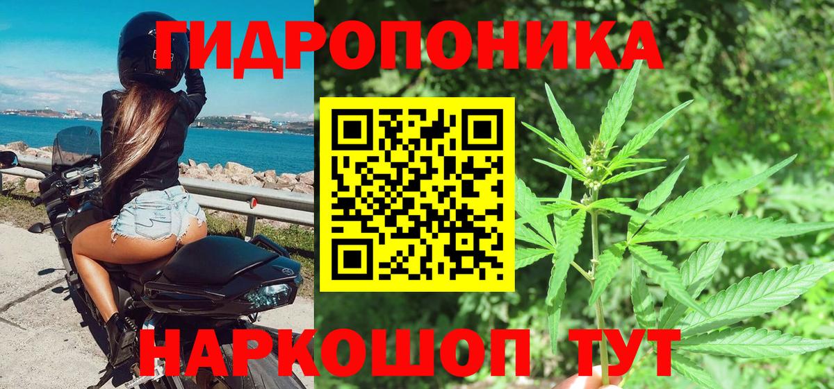 МАРИХУАНА SATIVA & INDICA Борзя